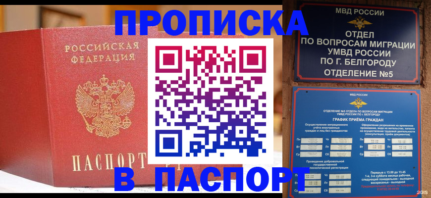временная регистрация в квартире в Нижегородской области
